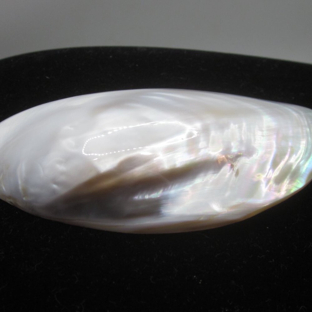 Vintage Shell Belt Clip Buckle Oval - Picture 2 of 5